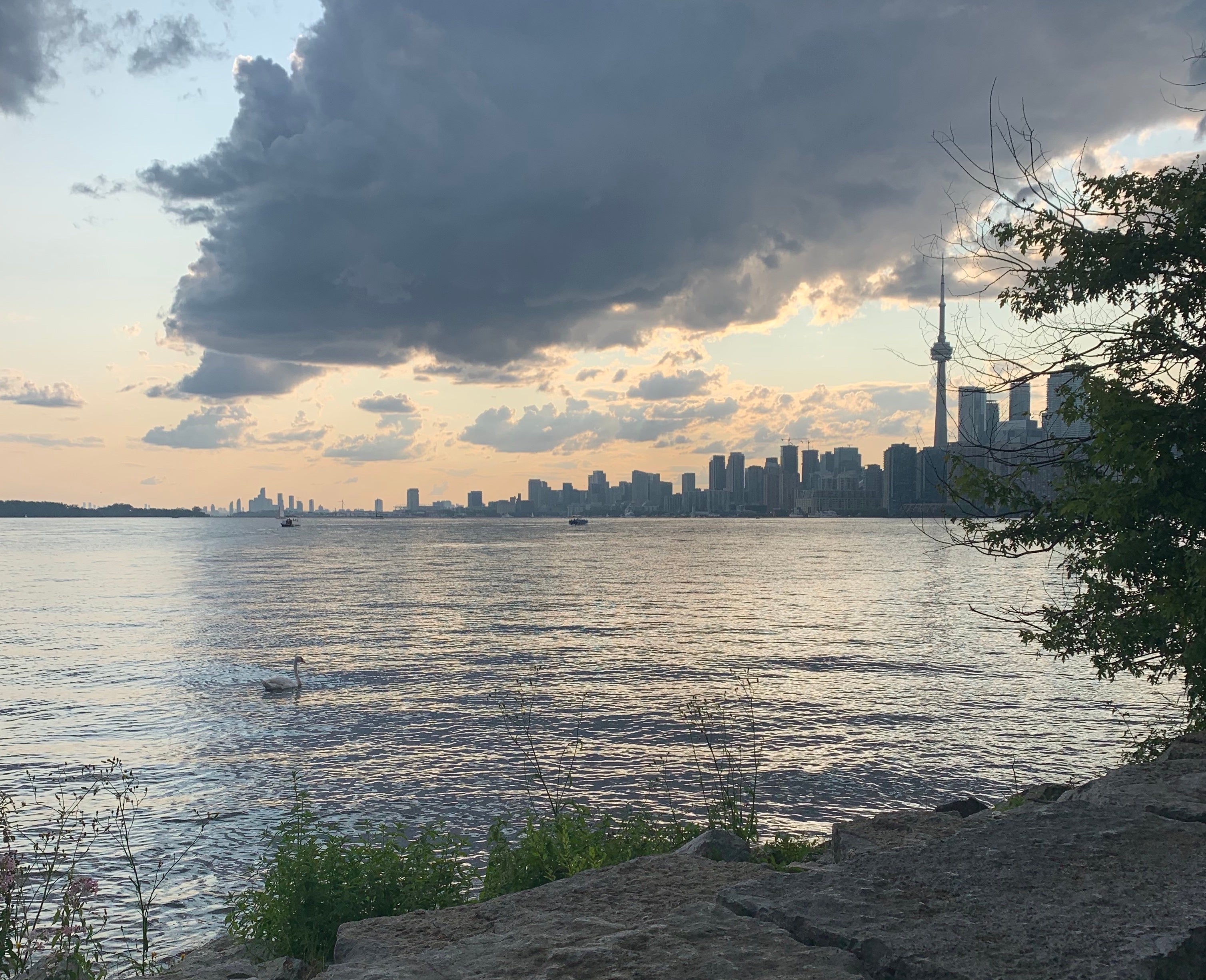 Toronto Islands, Toronto Skyline