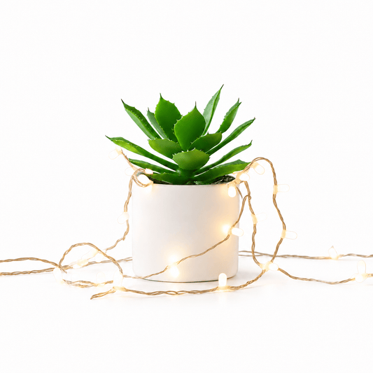 Decoration Essentials - My Dorm Store